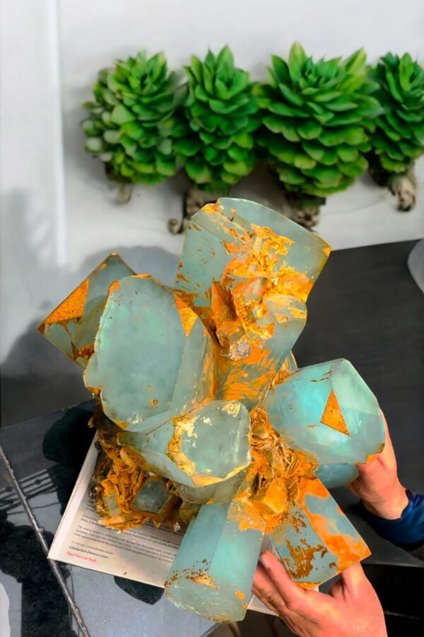 Collector’s Aquamarine specimens - Image 4